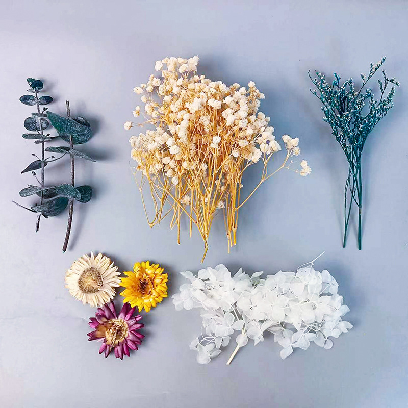 1pack Multifarious Dried Flowe - Dried Flower Bulk reseña y precio