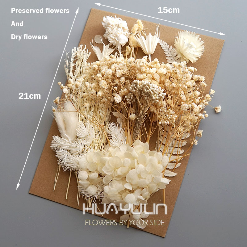 1 Pack Artificial Plants Dried - Dried Flower Bulk reseña y precio