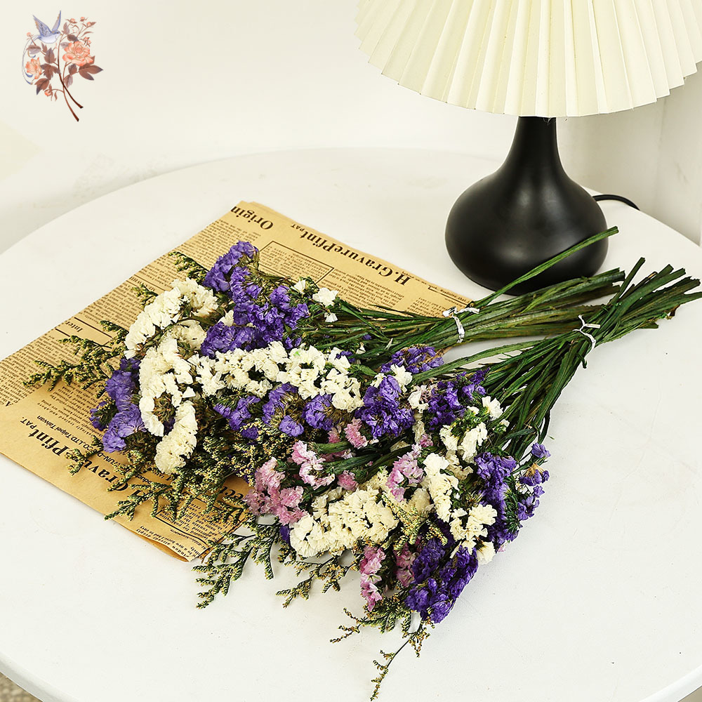 100g Natural Real Forget-me-no - Dried Flower Bulk reseña y precio