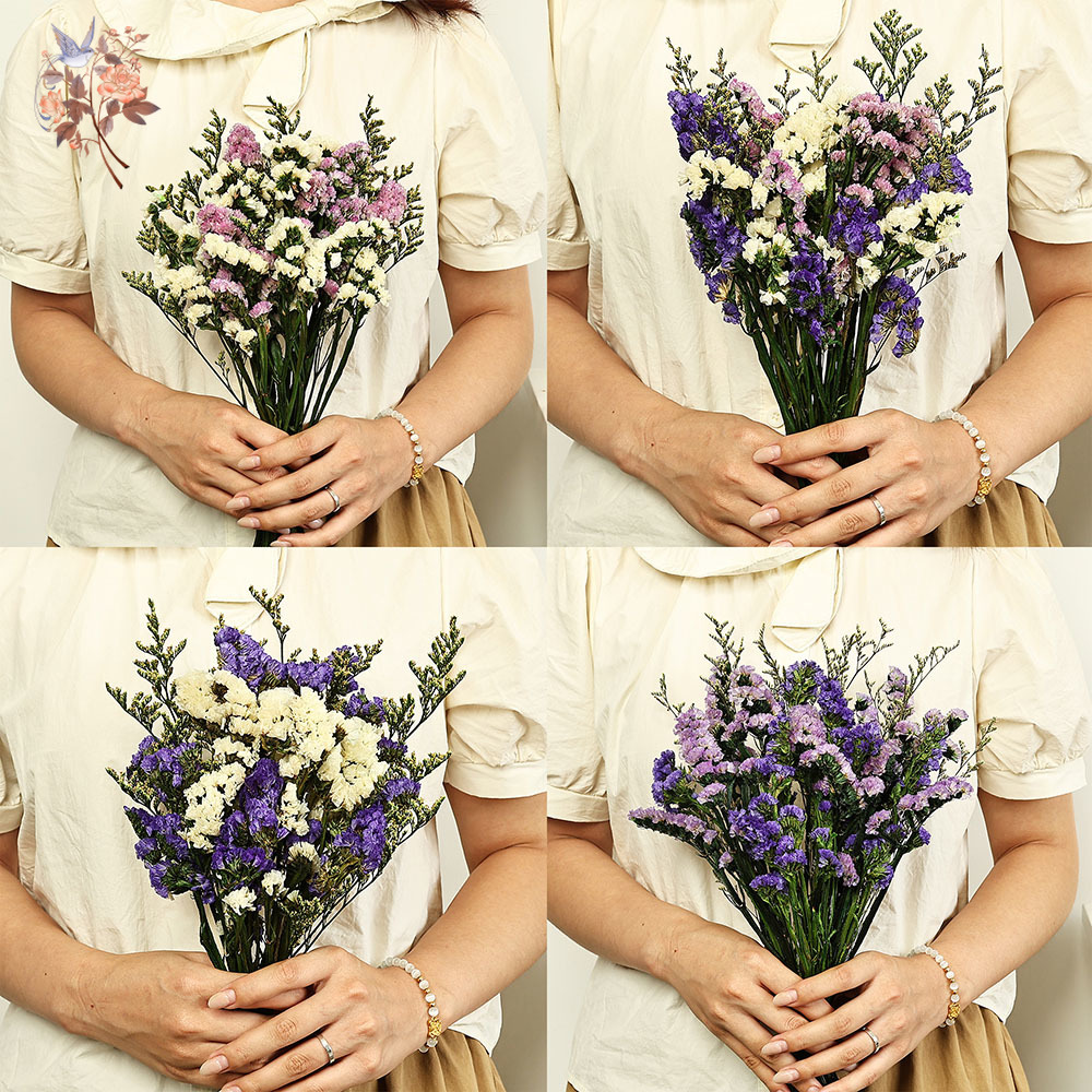 100g Natural Real Forget-me-no - Dried Flower Bulk reseña y precio