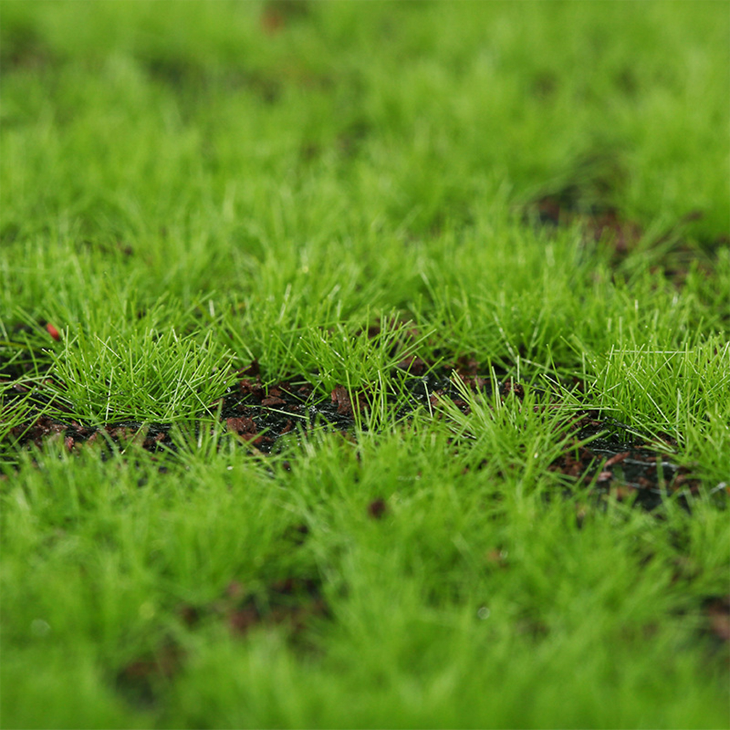 Artificial Moss Turf Simulatio - Terrarium Moss Art reseña y precio